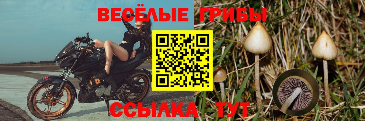 Галлюциногенные грибы Magic Shrooms Россошь