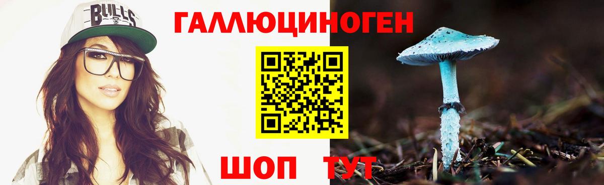 Россошь  Галлюциногенные грибы GOLDEN TEACHER  Галлюциногенные грибы MAGIC MUSHROOMS  Вход с VPN 