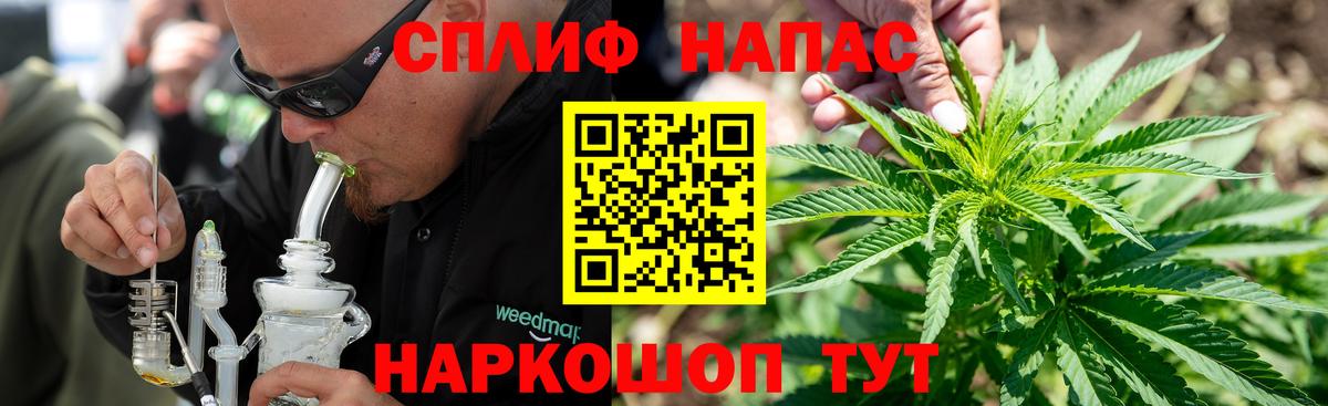 Бошки марихуана SATIVA & INDICA  Вход с VPN  Марихуана планчик  Россошь  Каннабис MAZAR 